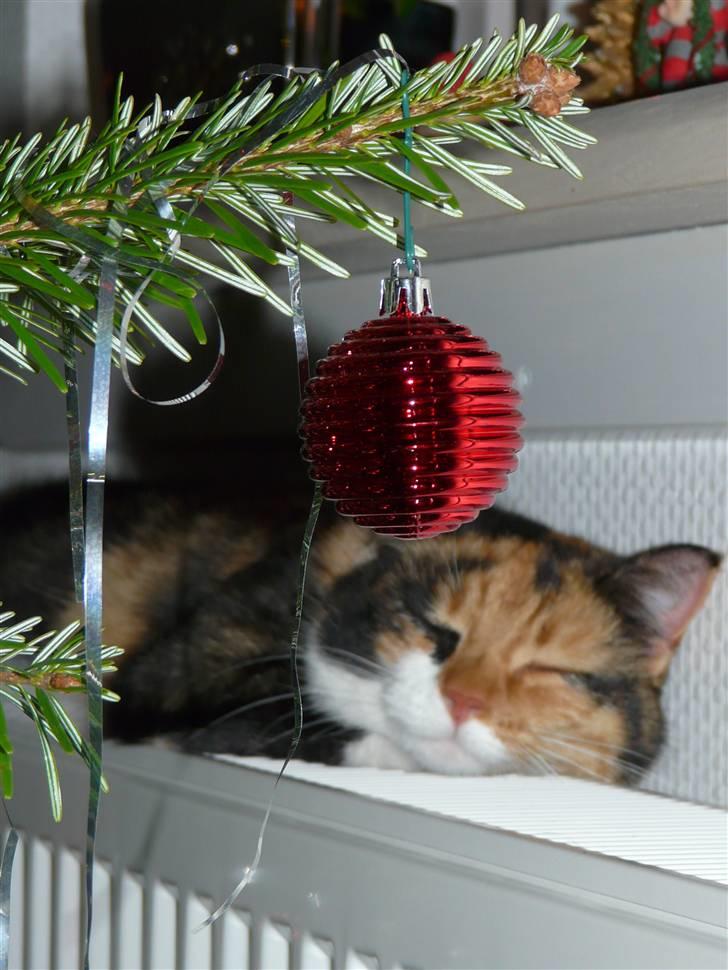 Huskat Fiona - Fordi du er søøj!:-*<33 billede 13