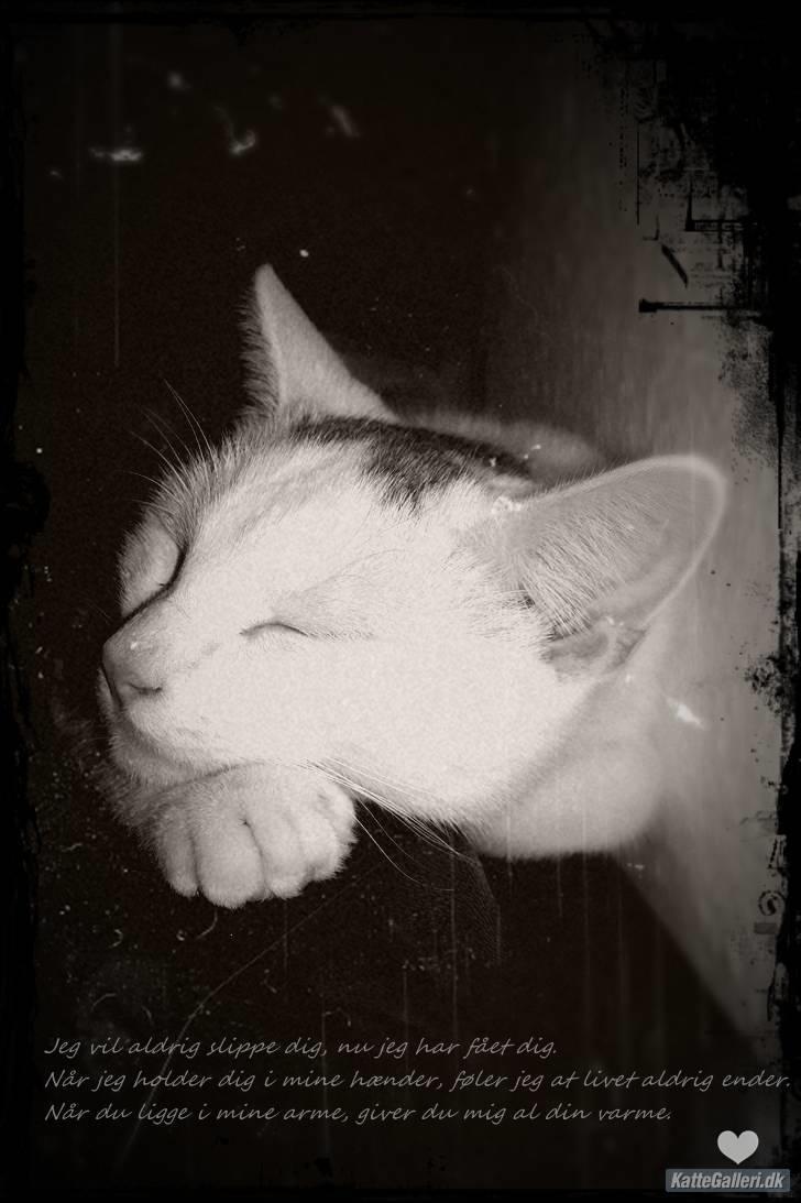 Huskat Noob - Redigeret af Vicki k er SÅ glad for det. Super flot og rigtig dejlig tekst :) billede 19