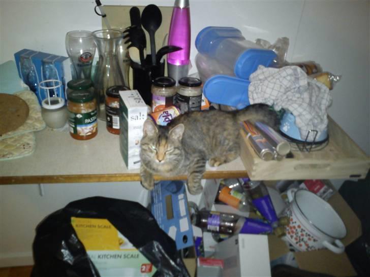 Blanding af racer pjuske  billede 3