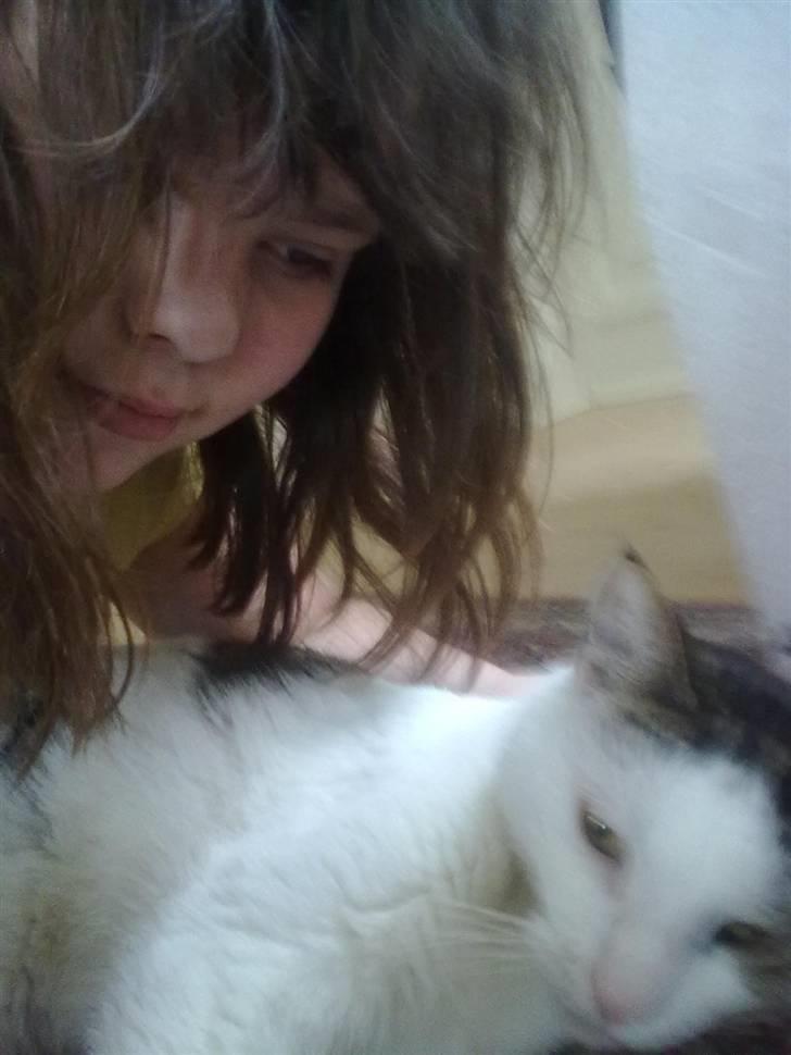 Huskat ole bent ( AFLIVET) billede 14