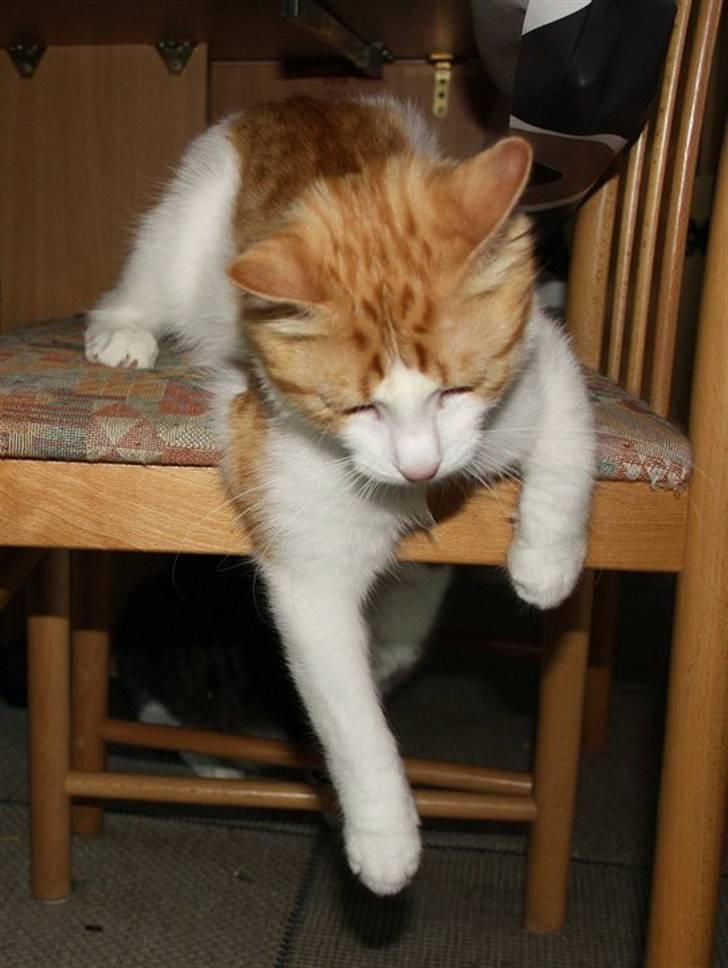 Blanding af racer Crash billede 3