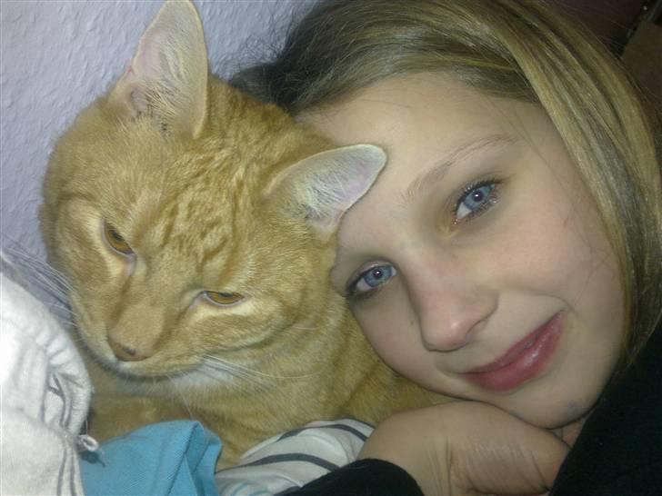 Huskat Max billede 7