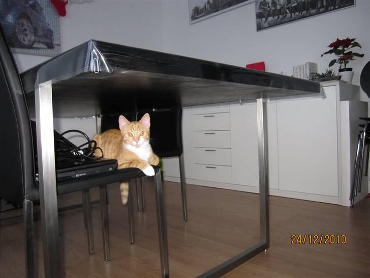 Blanding af racer Twix billede 7