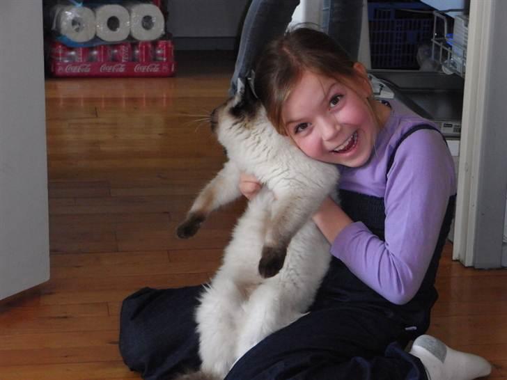 Ragdoll Flowerchild Akantus Pluto *R.I.P* 1/8-11 - Min lille søs og pluto :D  billede 19