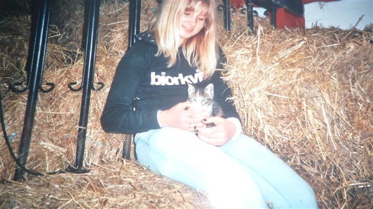 Blanding af racer Trille <3 *Fundet :D* billede 3