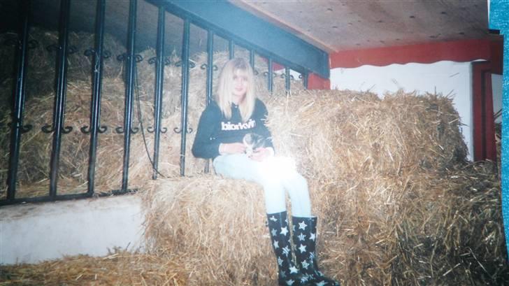 Blanding af racer Trille <3 *Fundet :D* billede 4