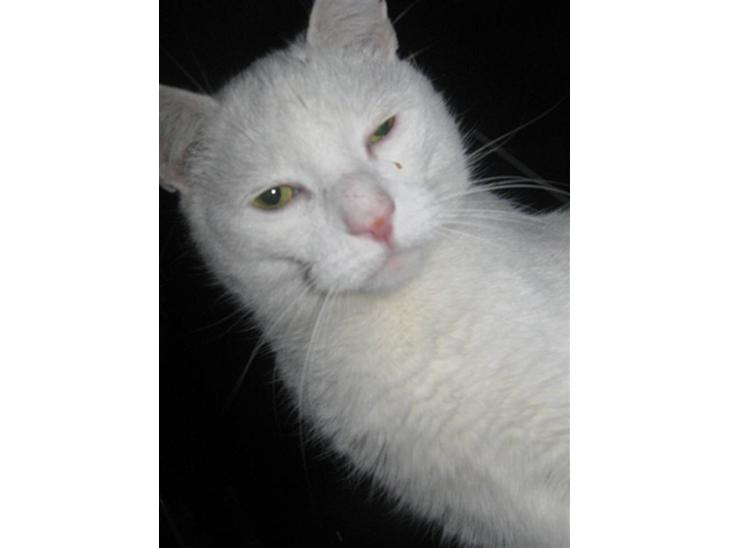 {{currentPhoto.altText}} billede {{currentPhoto.number}}