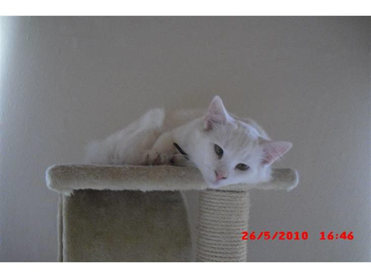 {{currentPhoto.altText}} billede {{currentPhoto.number}}