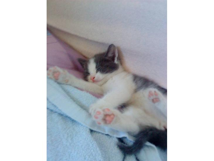 {{currentPhoto.altText}} billede {{currentPhoto.number}}