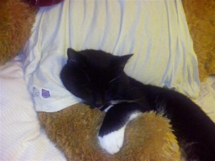 {{currentPhoto.altText}} billede {{currentPhoto.number}}