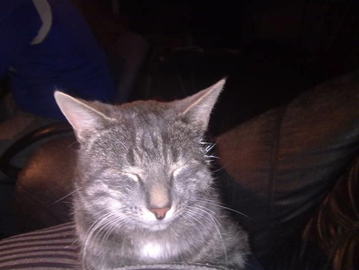 {{currentPhoto.altText}} billede {{currentPhoto.number}}