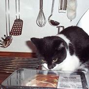 Blanding af racer Asterix