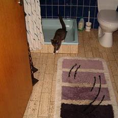 Blanding af racer muffe