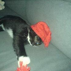 Blanding af racer tulle