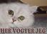 Perser Vaniljus (solgt) - ...