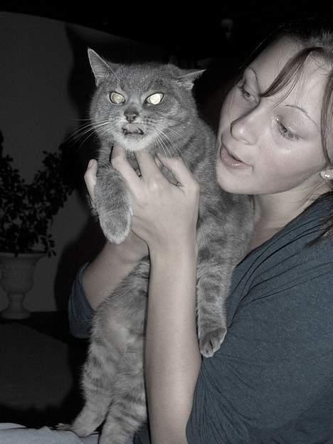 Blanding af racer Sille, *DØD 3/4 -06* - uhaaaa :) , s-s-sille er en z-z-z-zombie :) billede 13