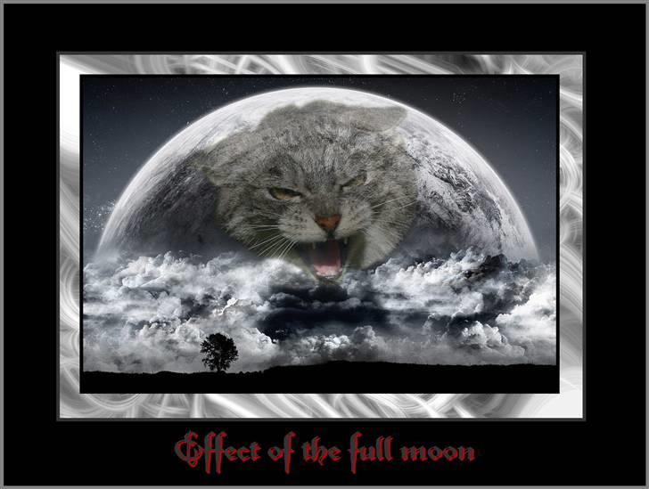 Huskat Baby - Redigeret i PS billede 6