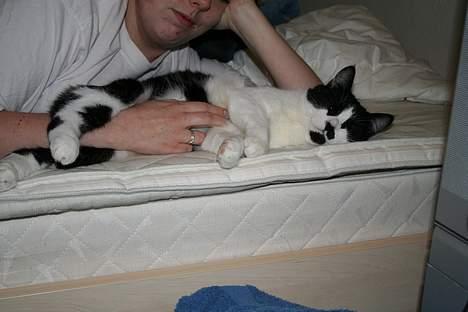 Huskat Oliver - Årh mor det er rigtigt godt.. billede 17