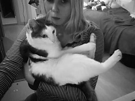 Blanding af racer Chilli billede 9