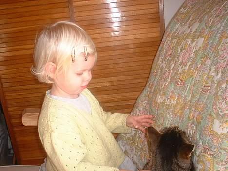 Europé *Løven Kis* - Kom nu vågn op billede 7