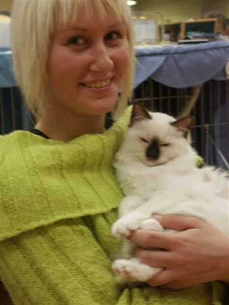 Hellig Birma Europa - (død 13/3-06) - Nu er jeg altså oz træt... (Hjallerup 20-11-05) billede 19