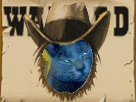 Huskat Mezzo <3 - "Hvad har jeg nu gjordt?!" billede 6