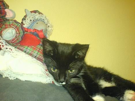 Blanding af racer tulle - ligger lige her sammen med min ven julemus billede 2