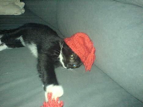 Blanding af racer tulle - Jul er det beste det er lige mig.....! billede 3