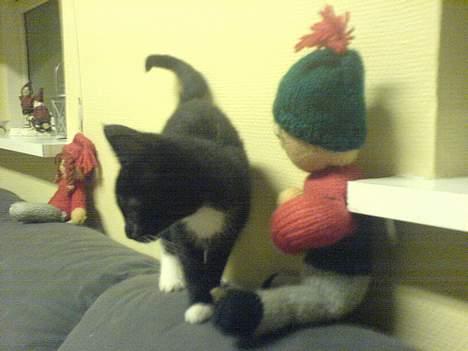 Blanding af racer tulle - hvad skal jeg nu.....! billede 7