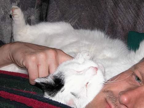 Blanding af racer Leia - Efter 4 års "fornærmethed" blev hun endelig også fars mis billede 4