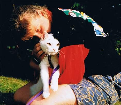 Blanding af racer Leia - En mis og dens mor en varm sommer billede 6