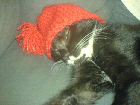 Blanding af racer tulle - nu er det jul....! billede 14