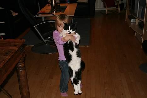 Huskat Oliver - Mine dejlige børn.. billede 18