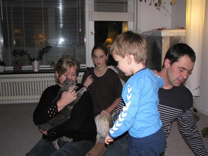 Blanding af racer Cindy - skønt at være midtpunkt billede 13