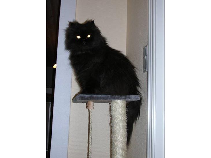 {{currentPhoto.altText}} billede {{currentPhoto.number}}