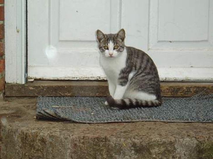 {{currentPhoto.altText}} billede {{currentPhoto.number}}