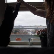 Blanding af racer Mille