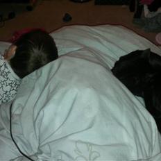 Blanding af racer Beastie