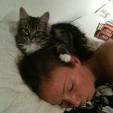 Blanding af racer Leopold