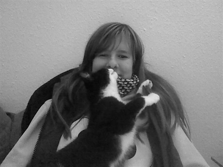 Huskat Morgan billede 6