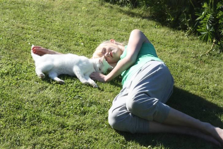 Blanding af racer Bertram - Mig og Bertram :-) billede 9