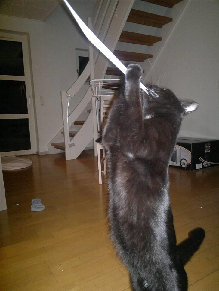 Huskat Plet - Jeg fik den :p billede 16