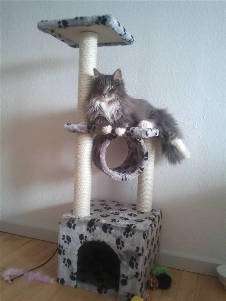 Blanding af racer Futte - For´ jeg er lækker, lækker... billede 5