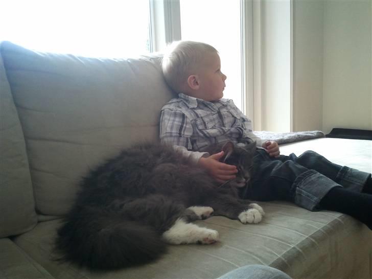 Blanding af racer Futte - Vi ser Rasmus Klump billede 7