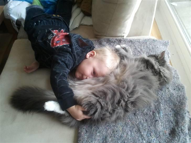 Blanding af racer Futte - Puttetid... billede 8