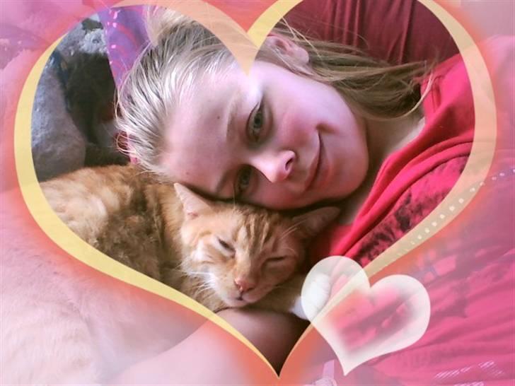 Huskat Mikkel - Total love til Mikkel billede 3