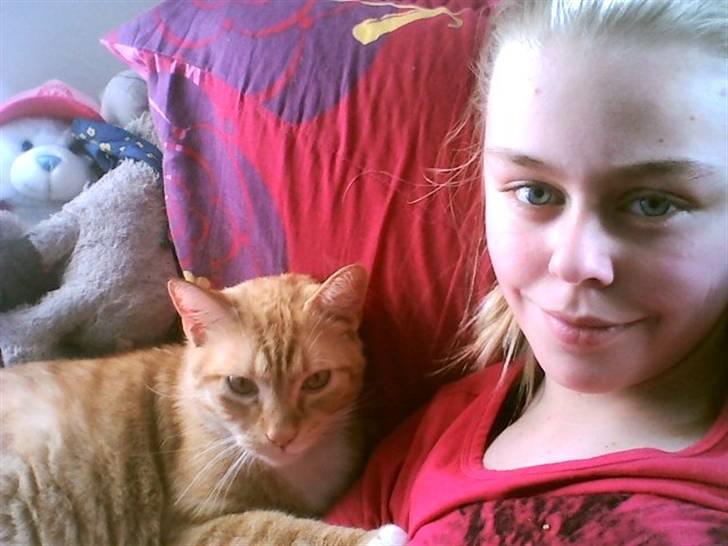 Huskat Mikkel billede 4