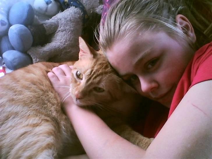 Huskat Mikkel billede 8