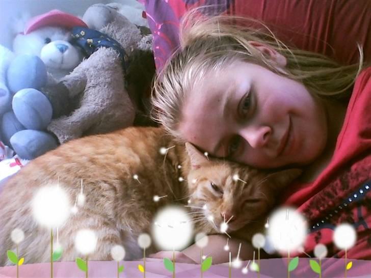 Huskat Mikkel billede 9