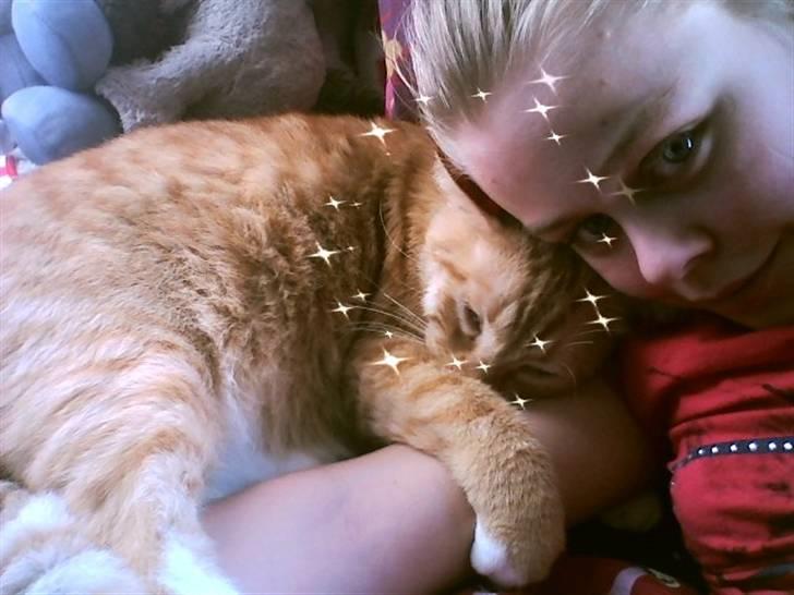 Huskat Mikkel billede 10